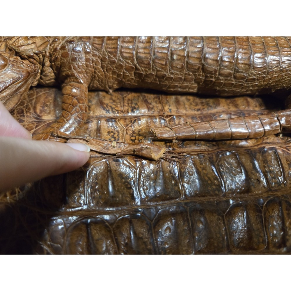 Vintage 1940's‎ Taxidermy Full Body Baby Alligator Handbag Clutch Purse - Picture 3 of 14